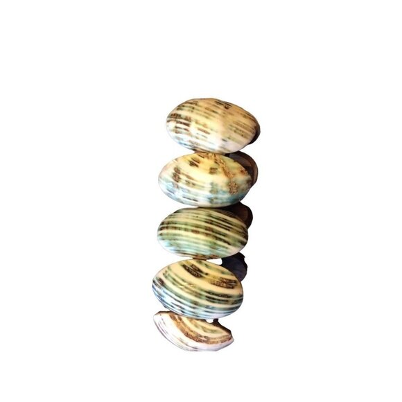 Shell on Wood elastic Bracelet - Picture 2 of 5